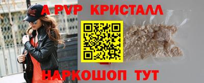 Альфа ПВП Новодвинск